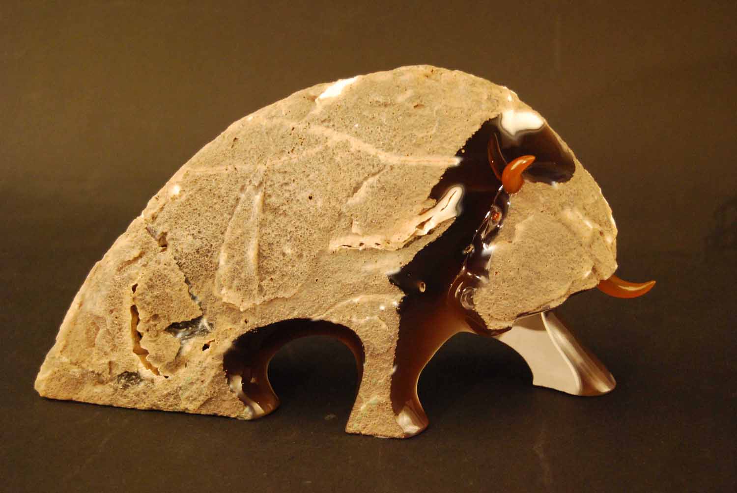 Bison