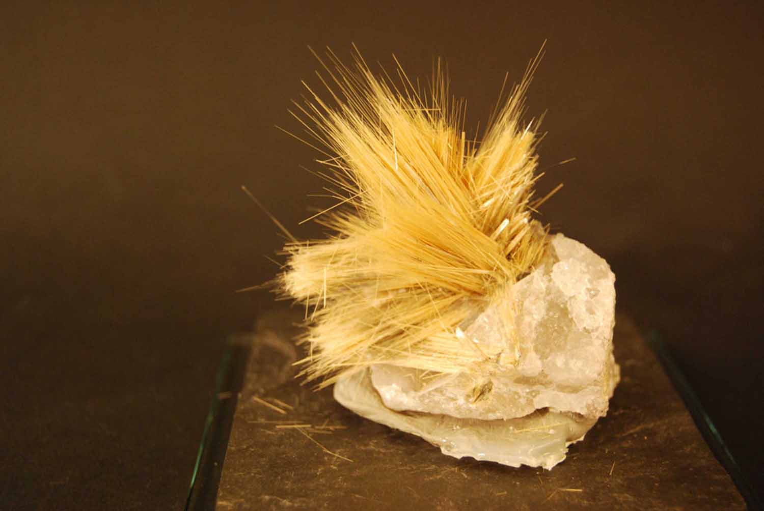 Freestanding rutile needles on quartz