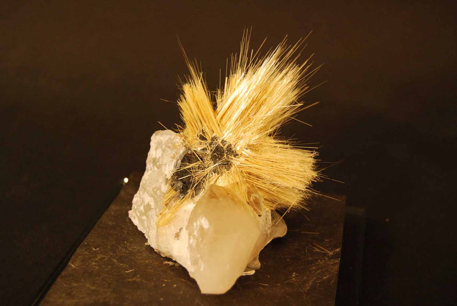 Freestanding rutile needles on quartz