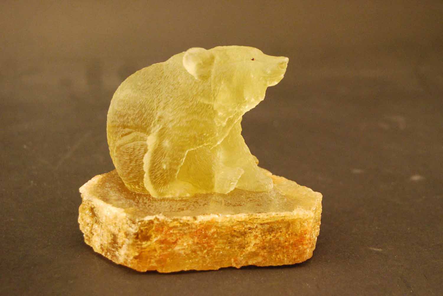 Young Bear