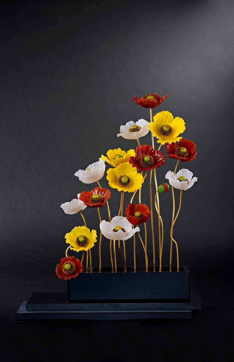 Island Mohn